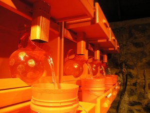 Utility of Obsession: All Things Orange - Installation by BOX 1035 (Alysse Stepanian and Philip Mantione)