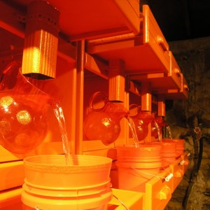 Utility of Obsession: All Things Orange - Installation by BOX 1035 (Alysse Stepanian and Philip Mantione)