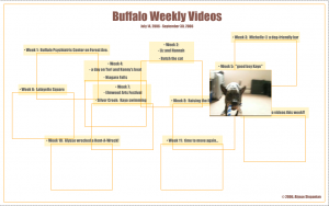 Buffalo Weekly Videos - web art by Alysse Stepanian
